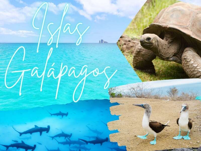 https://www.islas-galapagos.es/